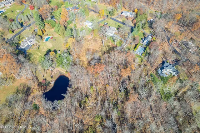 a view of plant in middle of the field