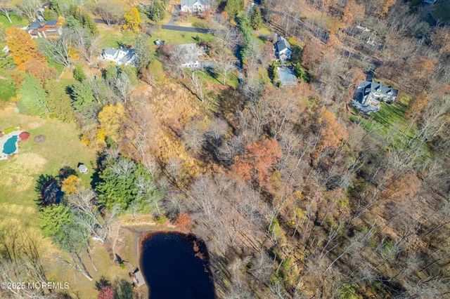 a view of a backyard with large trees