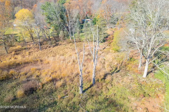 a backyard of a house with large trees