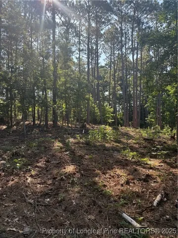 a view of outdoor space with trees
