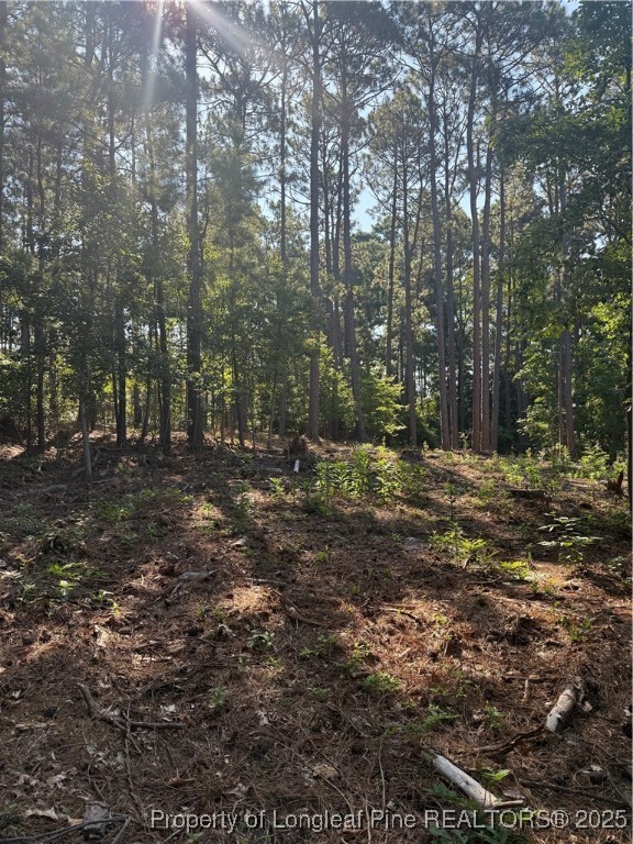 Tbd Stephanie Street Southern Pines, NC 28387 - Photo 2 of 10 a view of outdoor space with trees