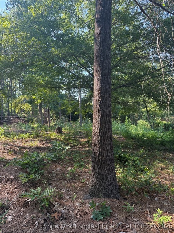 Tbd Stephanie Street Southern Pines, NC 28387 - Photo 4 of 10 a view of a forest with a tree