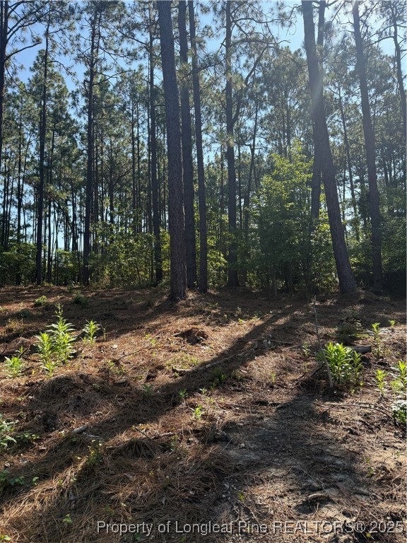 Tbd Stephanie Street Southern Pines, NC 28387 - Photo 6 of 10 a backyard of a house with lots of green space