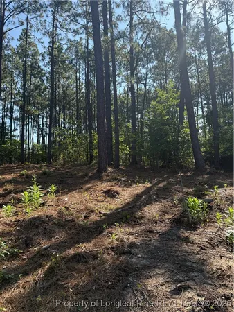 $59,900 | Tbd Stephanie Street, Southern Pines, NC 28387