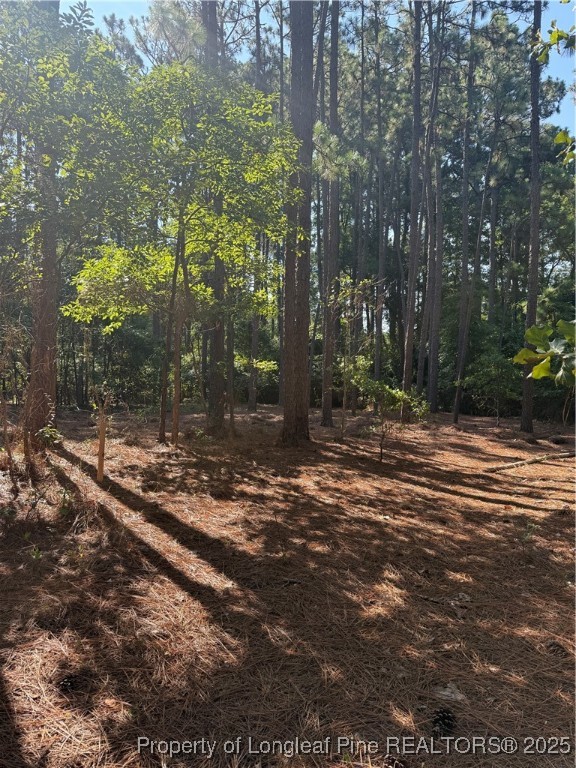 Tbd Stephanie Street Southern Pines, NC 28387 - Photo 7 of 10 a backyard of a house with lots of green space