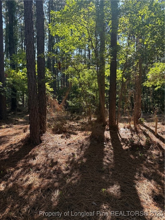 Tbd Stephanie Street Southern Pines, NC 28387 - Photo 8 of 10 a backyard of a house with lots of green space