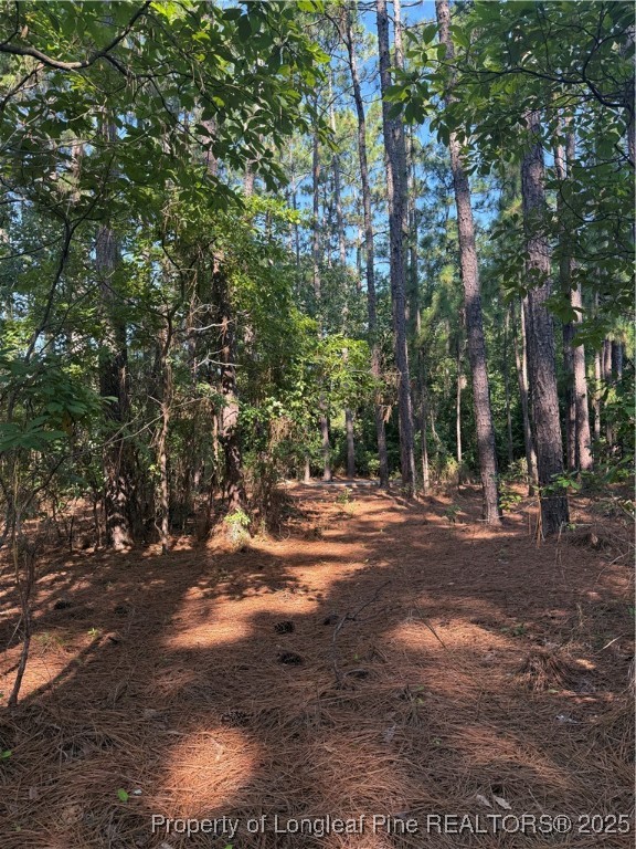 Tbd Stephanie Street Southern Pines, NC 28387 - Photo 9 of 10 a backyard of a house with lots of green space