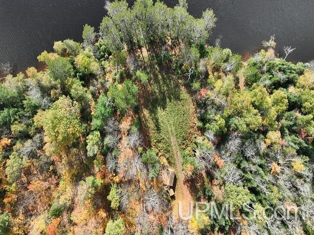 5800 Wolf Lake Road Watersmeet, MI 49969 - Photo 72 of 86