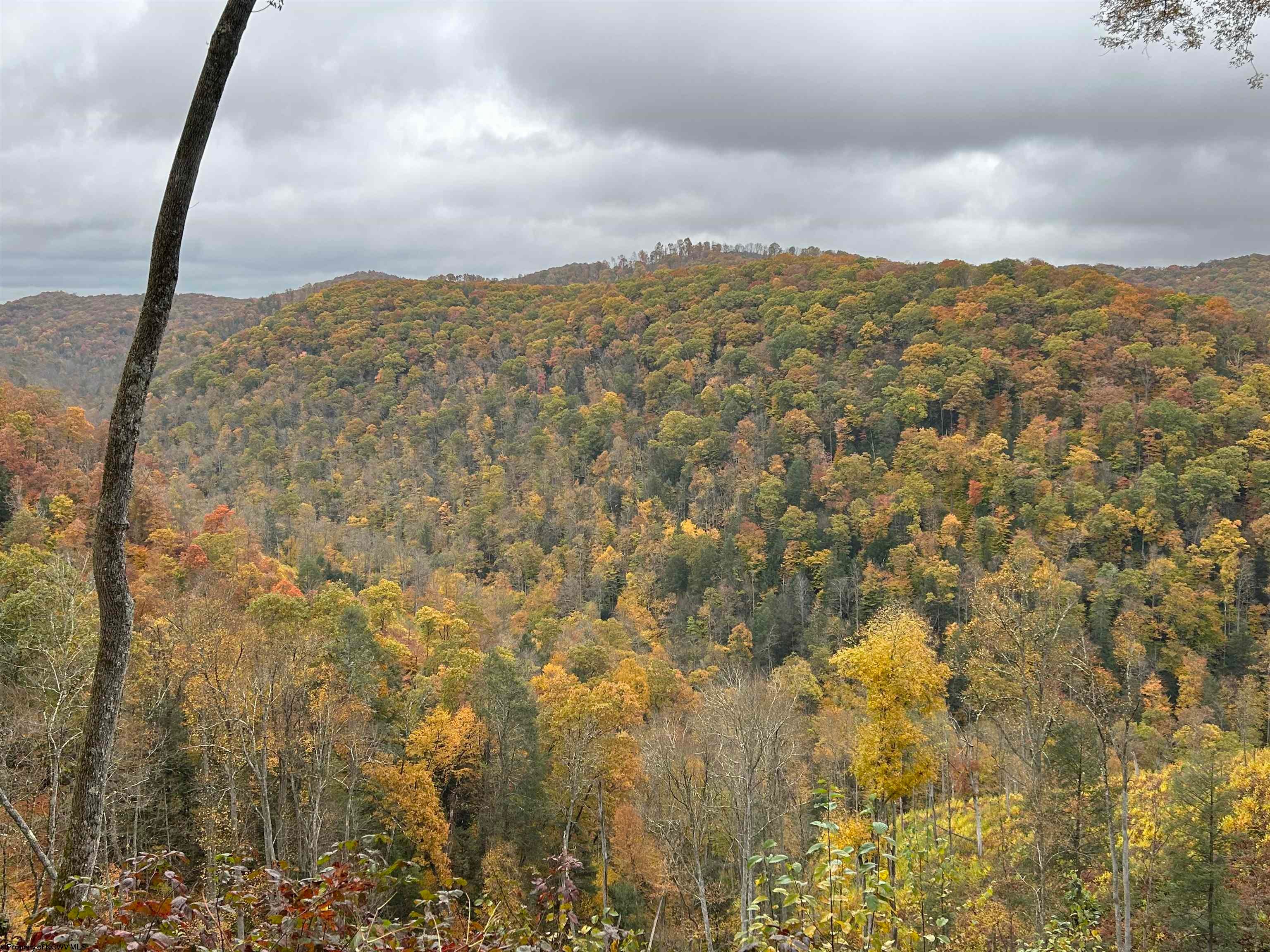 0 Hile Run Road Parsons, WV 26287 - Photo 2 of 9 Gallery Image 2