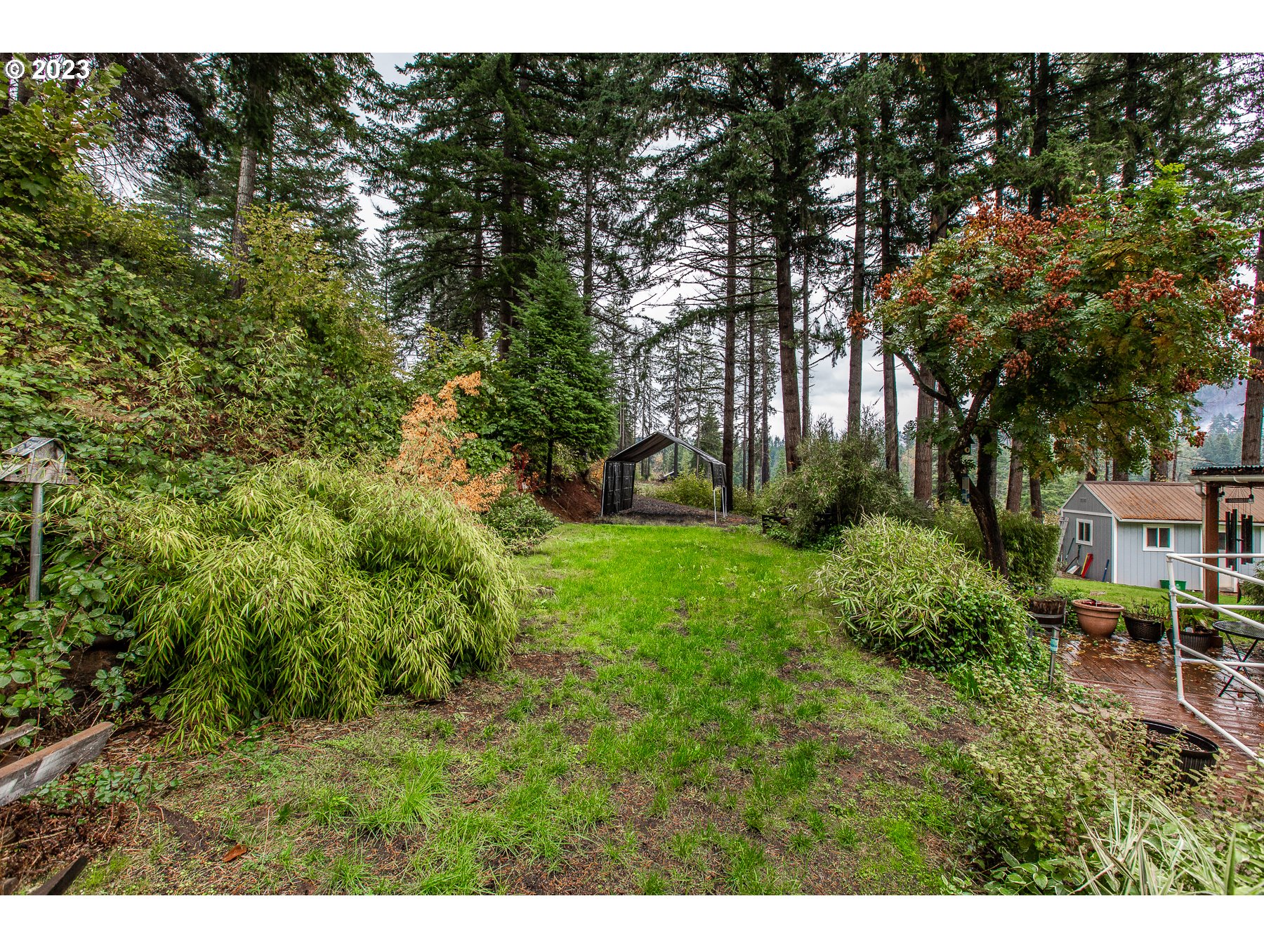 90977 Angels Flight Road Walterville, OR 97489 - Photo 25 of 35 Gallery Image 25