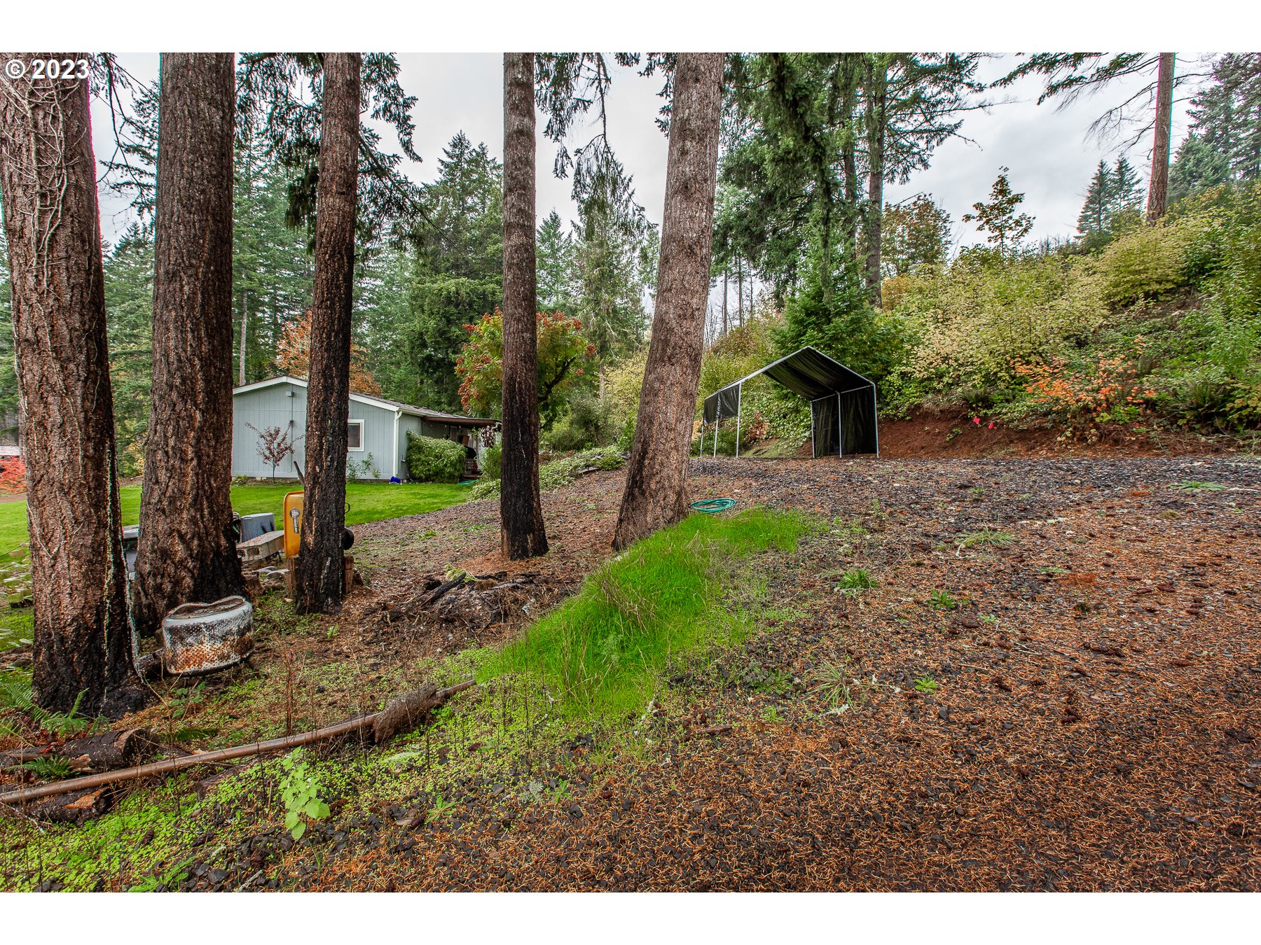 90977 Angels Flight Road Walterville, OR 97489 - Photo 35 of 35 Gallery Image 35