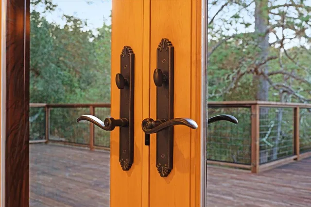 a view of a yard with plants and trees