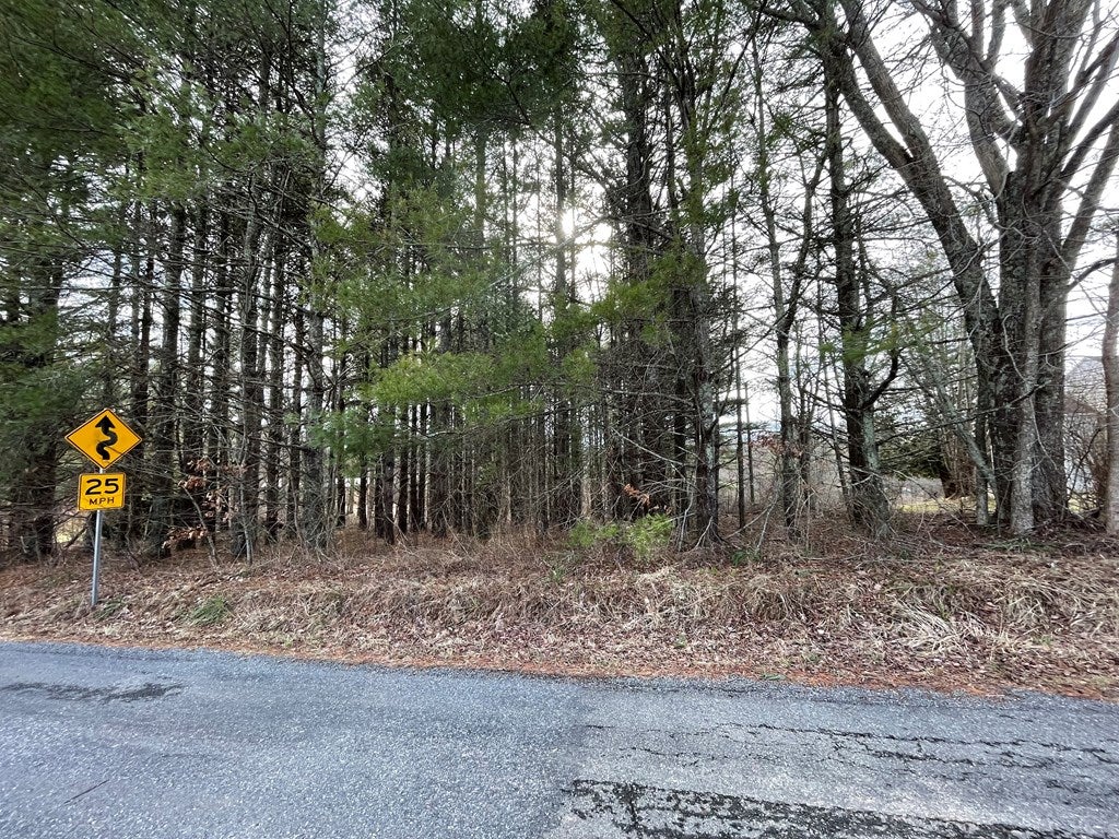 Tbd Keno Road, Unit 6 Laurel Fork, VA 24352 - Photo 4 of 7 Gallery Image 4