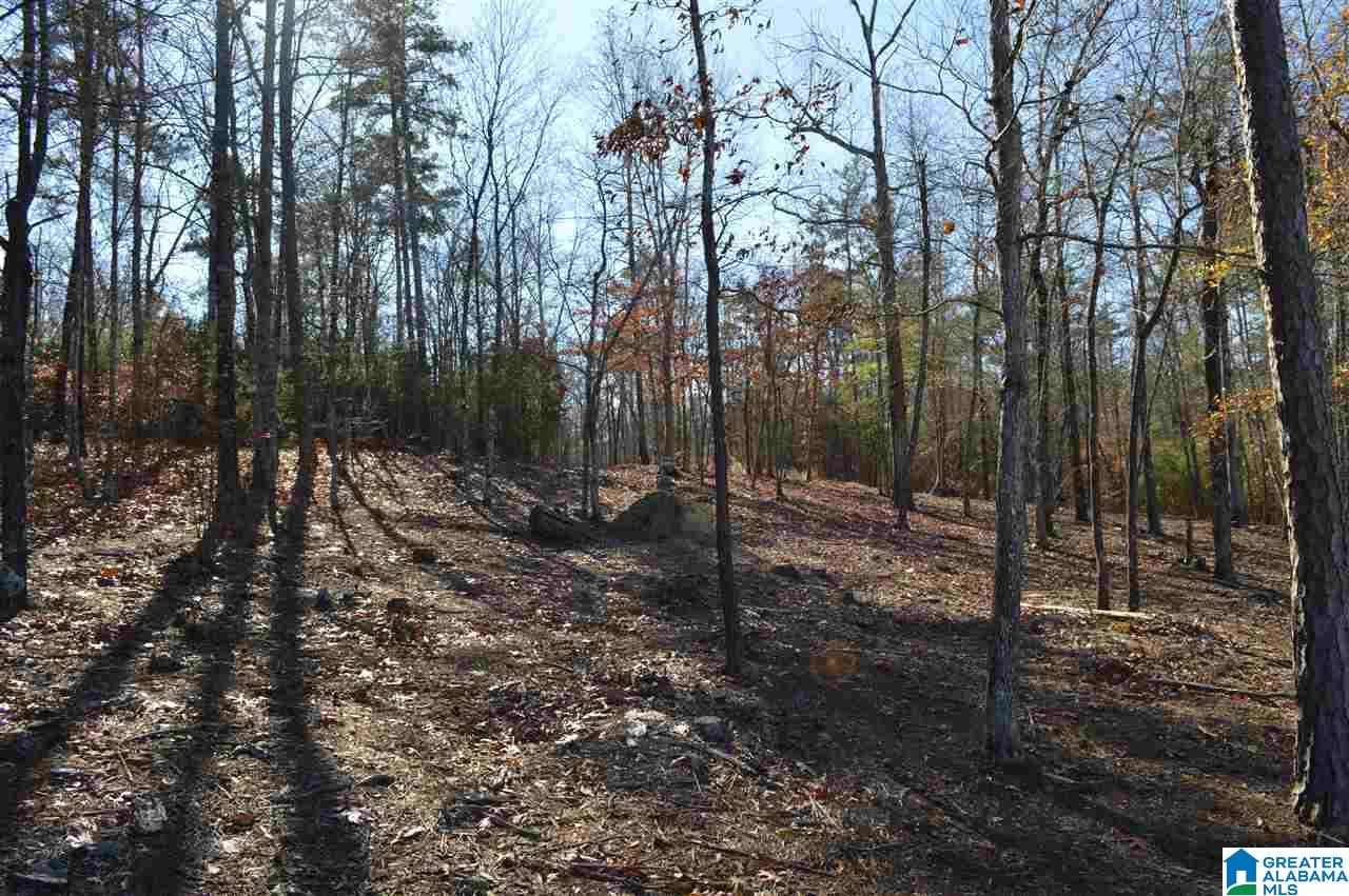 South Stoney Point Road South, Unit 138 Double Springs, AL 35553 - Photo 8 of 22