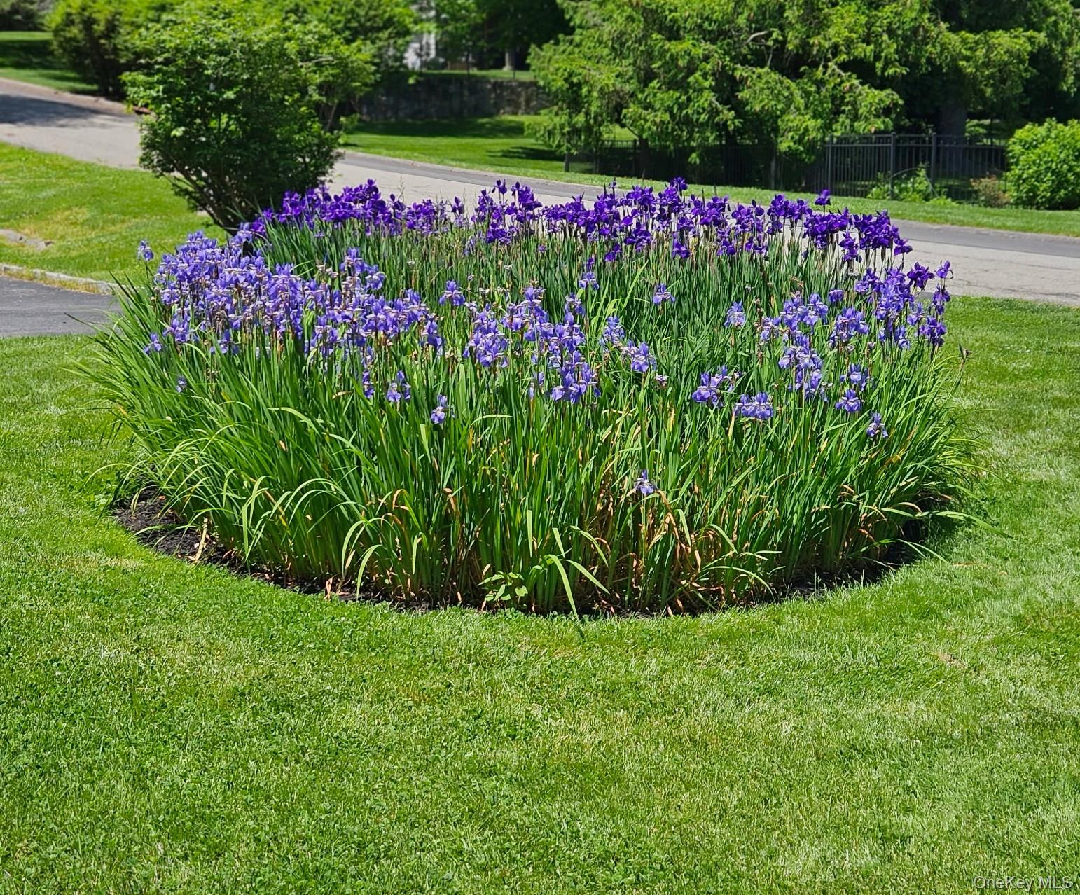 134 Dalmeny Road Briarcliff Manor, NY 10510 - Photo 42 of 44 a view of a garden with flowers and trees