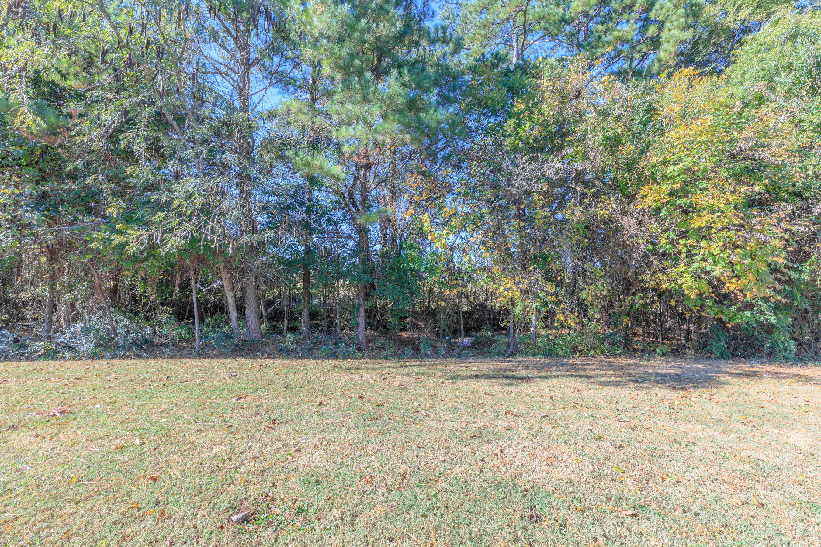 64 Yellow Brick Road Rossville, GA 30741 - Photo 41 of 44 64 Yellow Brick HD -15