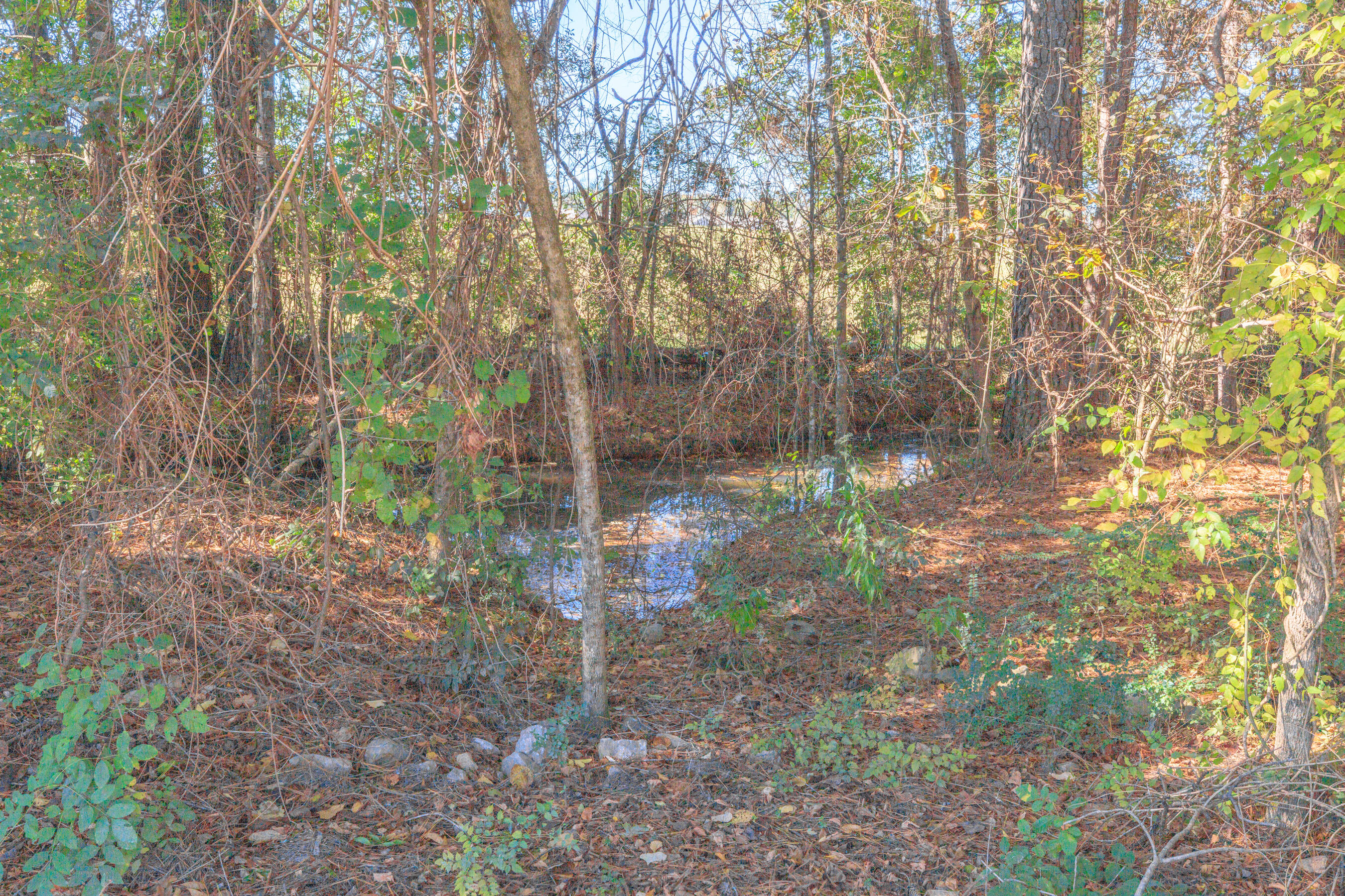 64 Yellow Brick Road Rossville, GA 30741 - Photo 42 of 44 64 Yellow Brick HD -6