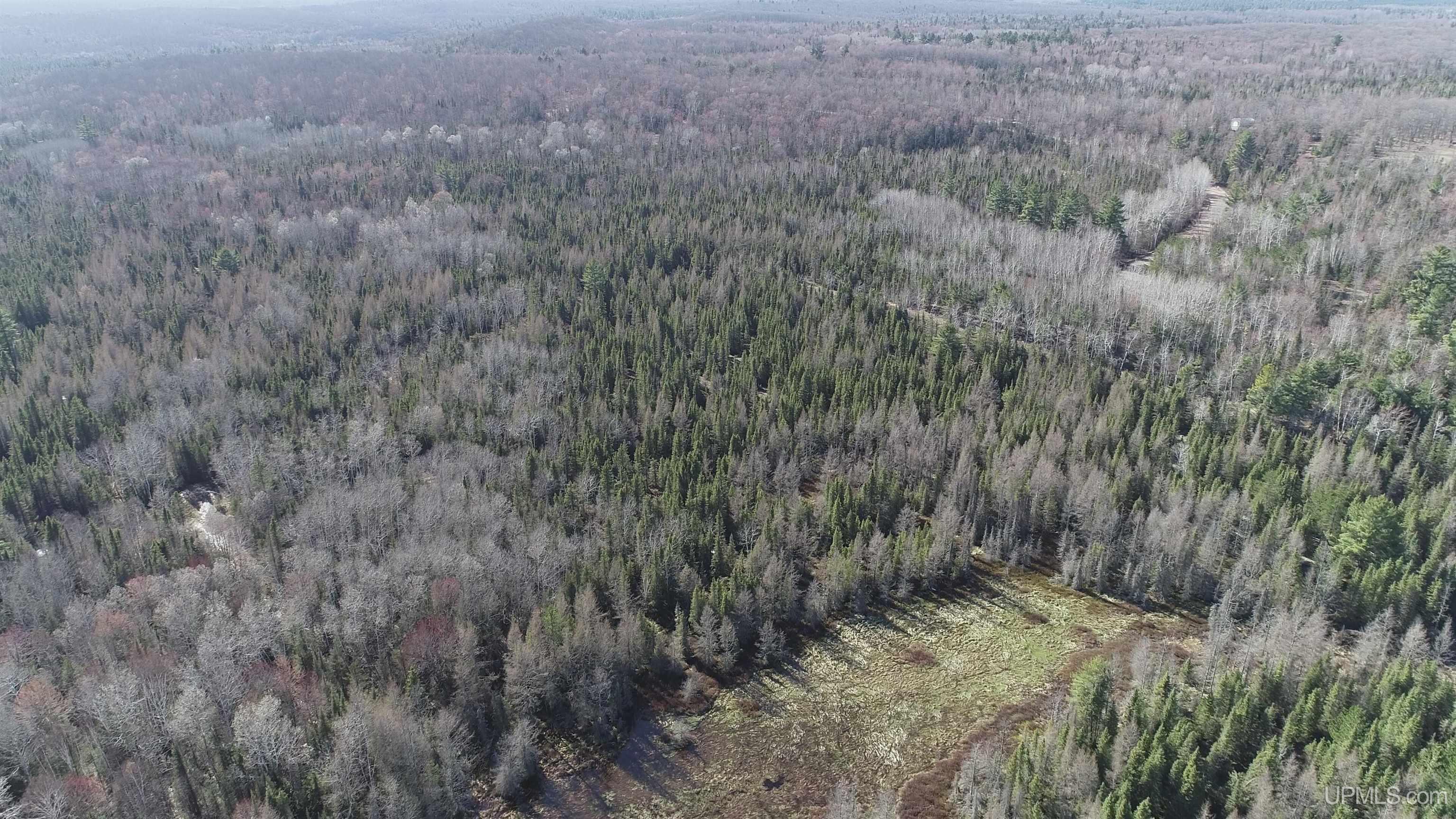 79.7-acres 79.7-acres Co Road Ishpeming, MI 49849 - Photo 28 of 30