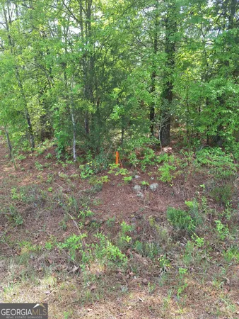 $100,000 | 0 Hester Road, Elberton, GA 30635
