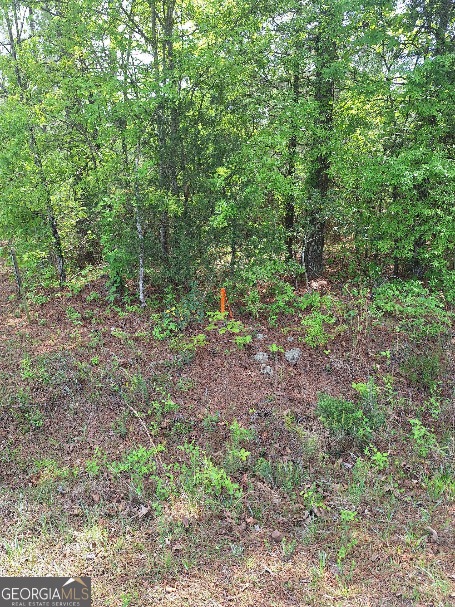 0 Hester Road Elberton, GA 30635 - Photo 1 of 7