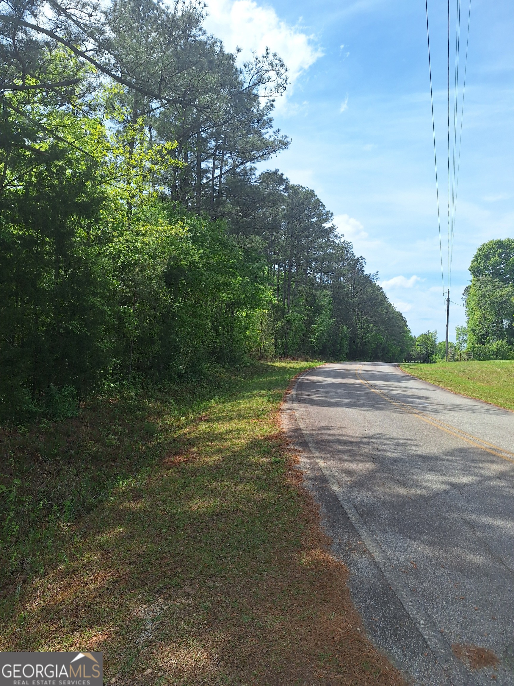 0 Hester Road Elberton, GA 30635 - Photo 2 of 7