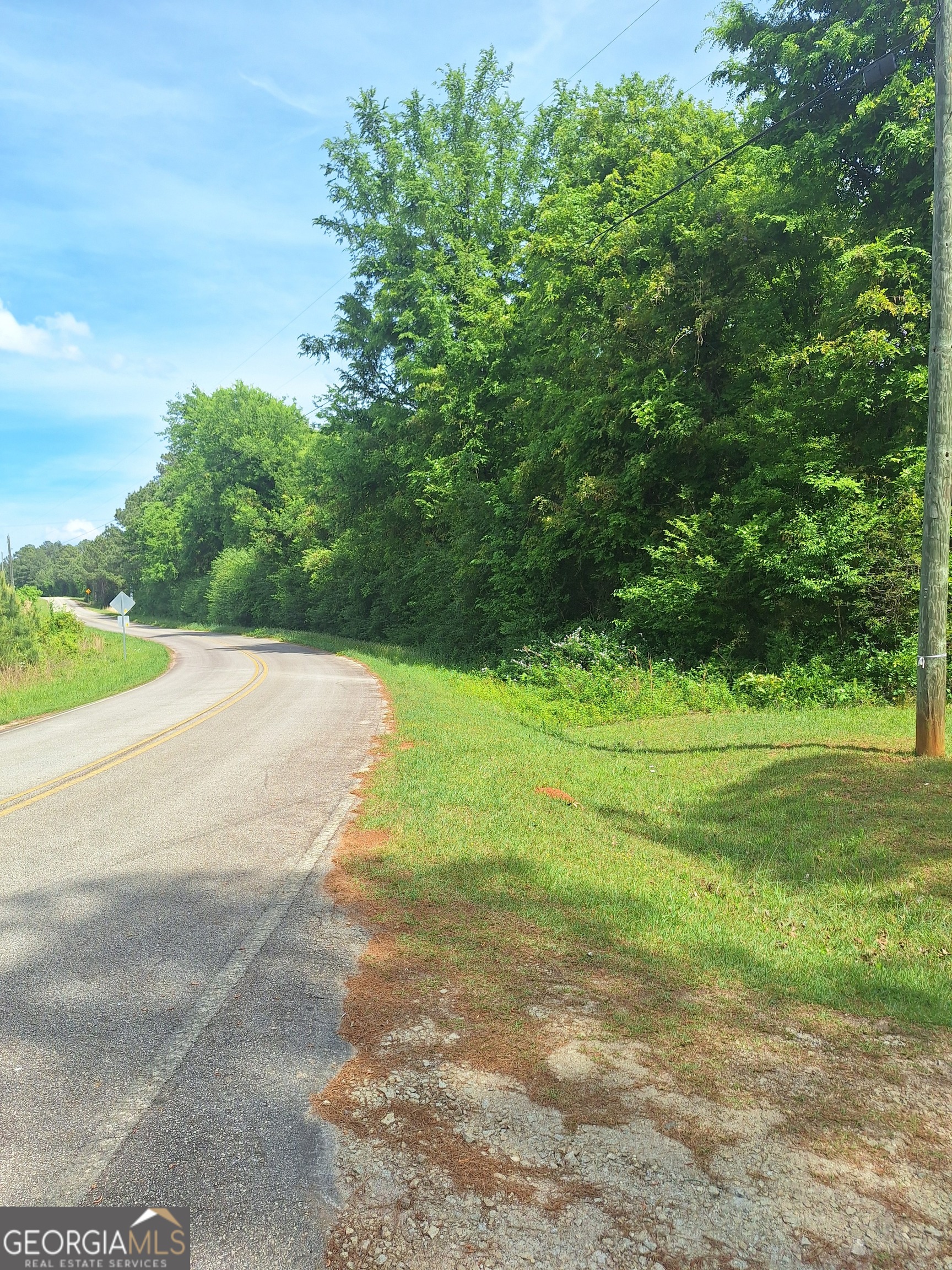 0 Hester Road Elberton, GA 30635 - Photo 3 of 7