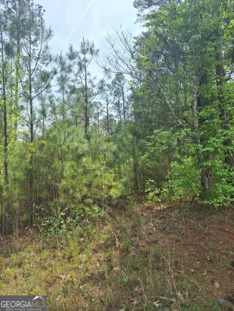 $100,000 | 0 Hester Road, Elberton, GA 30635