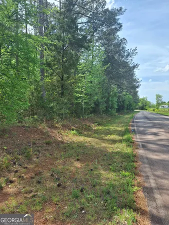 $100,000 | 0 Hester Road, Elberton, GA 30635