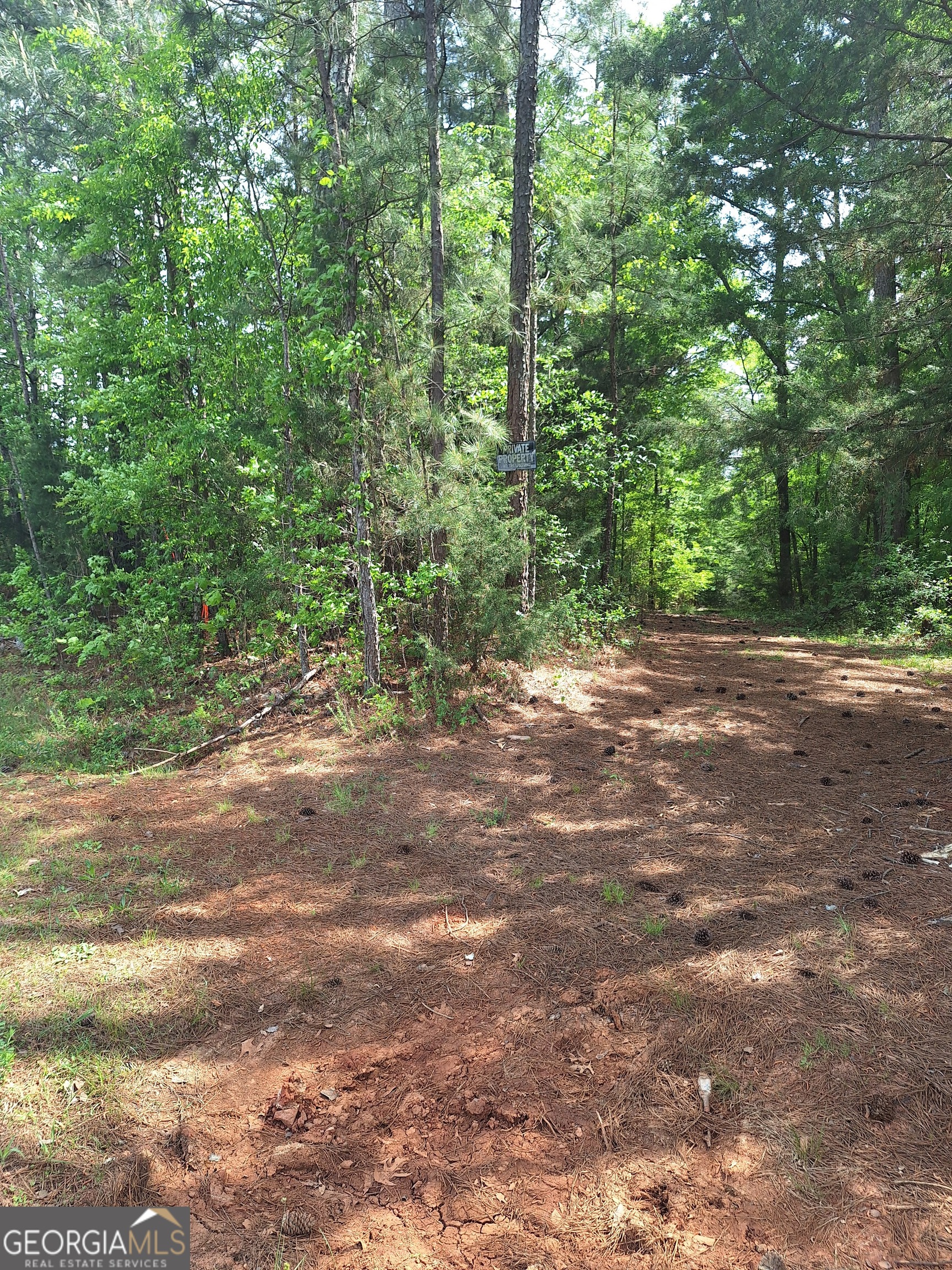 0 Hester Road Elberton, GA 30635 - Photo 6 of 7