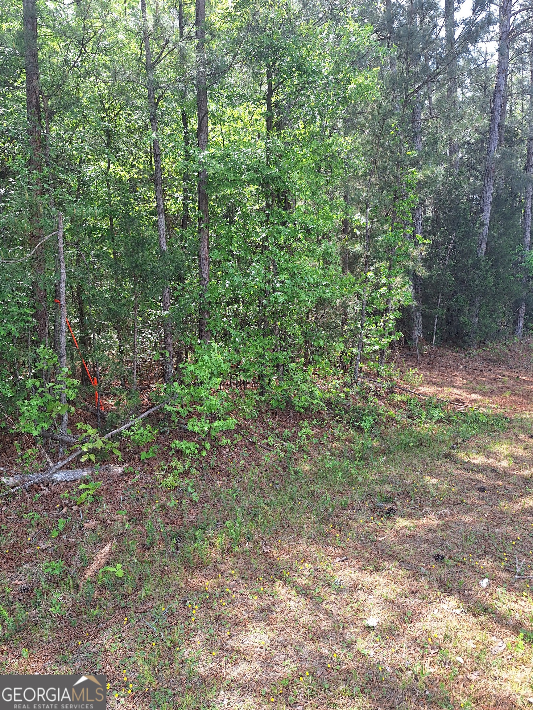 0 Hester Road Elberton, GA 30635 - Photo 7 of 7