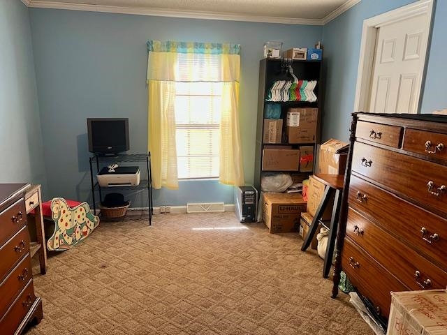 240 Amber Lane Conway, SC 29526 - Photo 18 of 26
