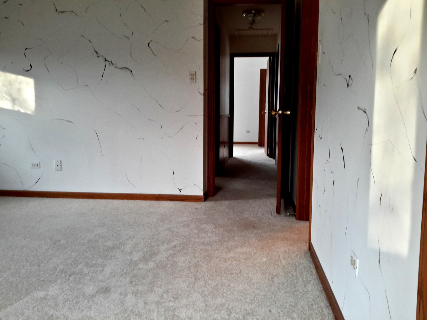 11333 Hummingbird Lane Mokena, IL 60448 - Photo 16 of 28