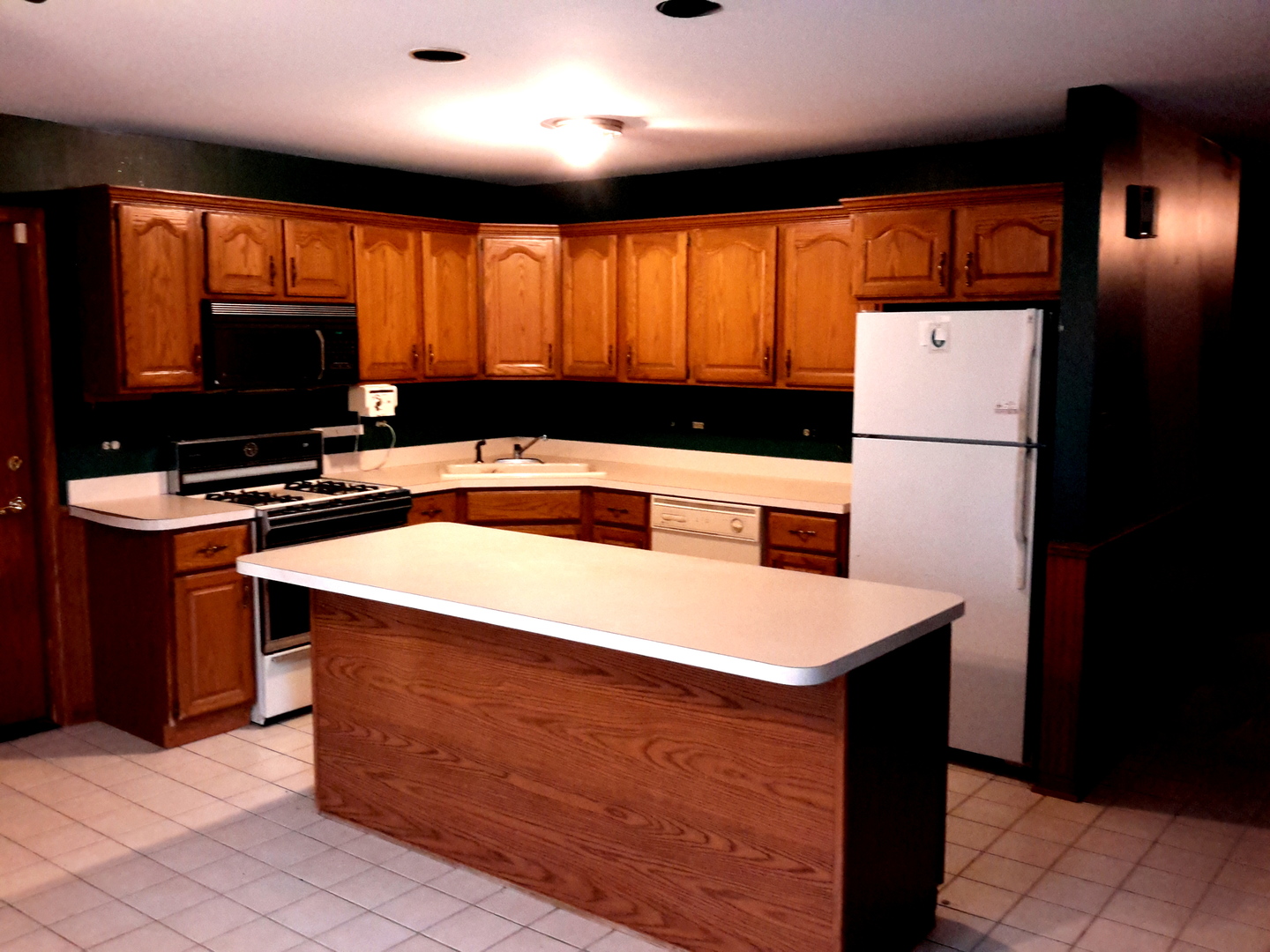 11333 Hummingbird Lane Mokena, IL 60448 - Photo 4 of 28