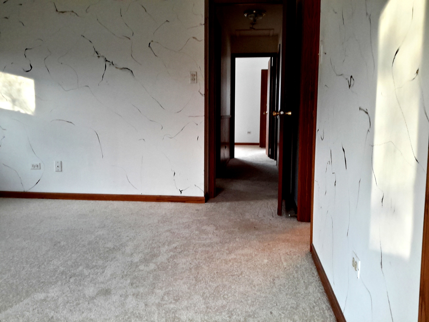 11333 Hummingbird Lane Mokena, IL 60448 - Photo 9 of 28