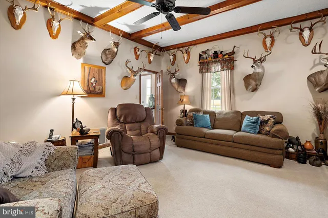 a kitchen with stainless steel appliances granite countertop a stove top oven a sink and a refrigerator