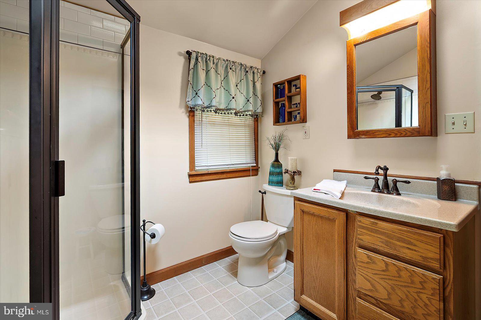 8807 Woodland Ferry Road Laurel, DE 19956 - Photo 33 of 90 a bathroom with a sink toilet and mirror