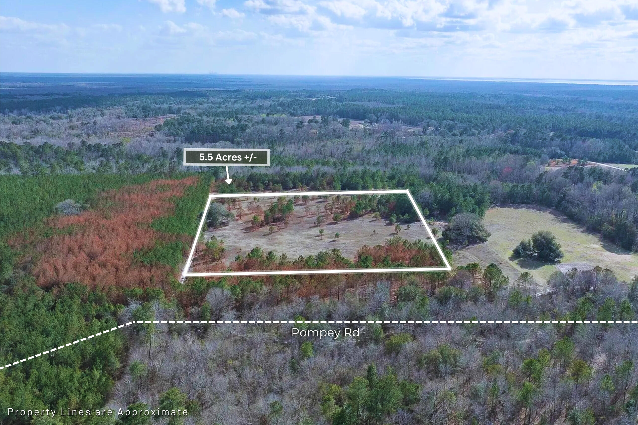 5 Pompey Road Manning, SC 29102 - Photo 2 of 34