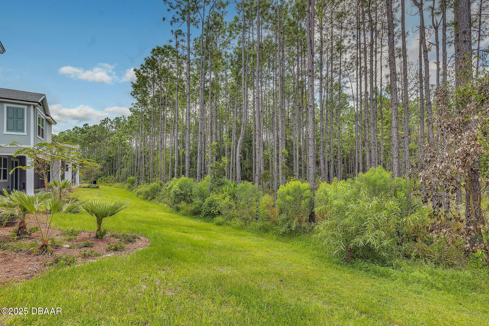 335 Redbud Road Palm Coast, FL 32137 - Photo 30 of 47 KBRE4985