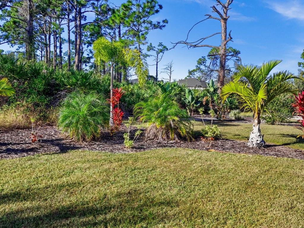 8221 Agate Street Port Charlotte, FL 33981 - Photo 16 of 50 a view of a yard with plants