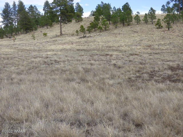 Lot 17 The Ranch at Alpine (5)