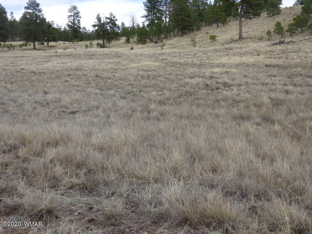 Lot 17 The Ranch Alpine, AZ 85920 - Photo 2 of 25 Lot 17 The Ranch at Alpine (7)