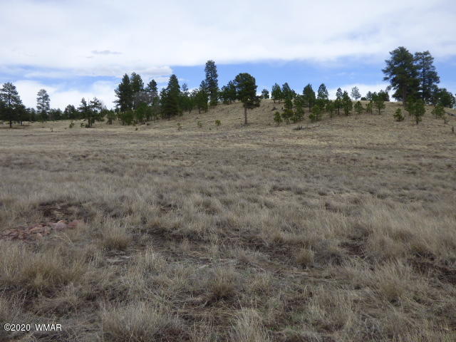 Lot 17 The Ranch Alpine, AZ 85920 - Photo 3 of 25 Lot 17 The Ranch at Alpine (3)