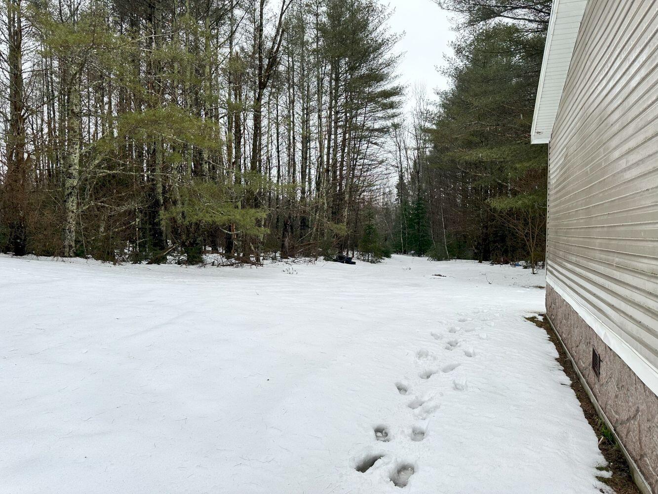 90 Bond Road Corinna, ME 04928 - Photo 22 of 24 Left side yard