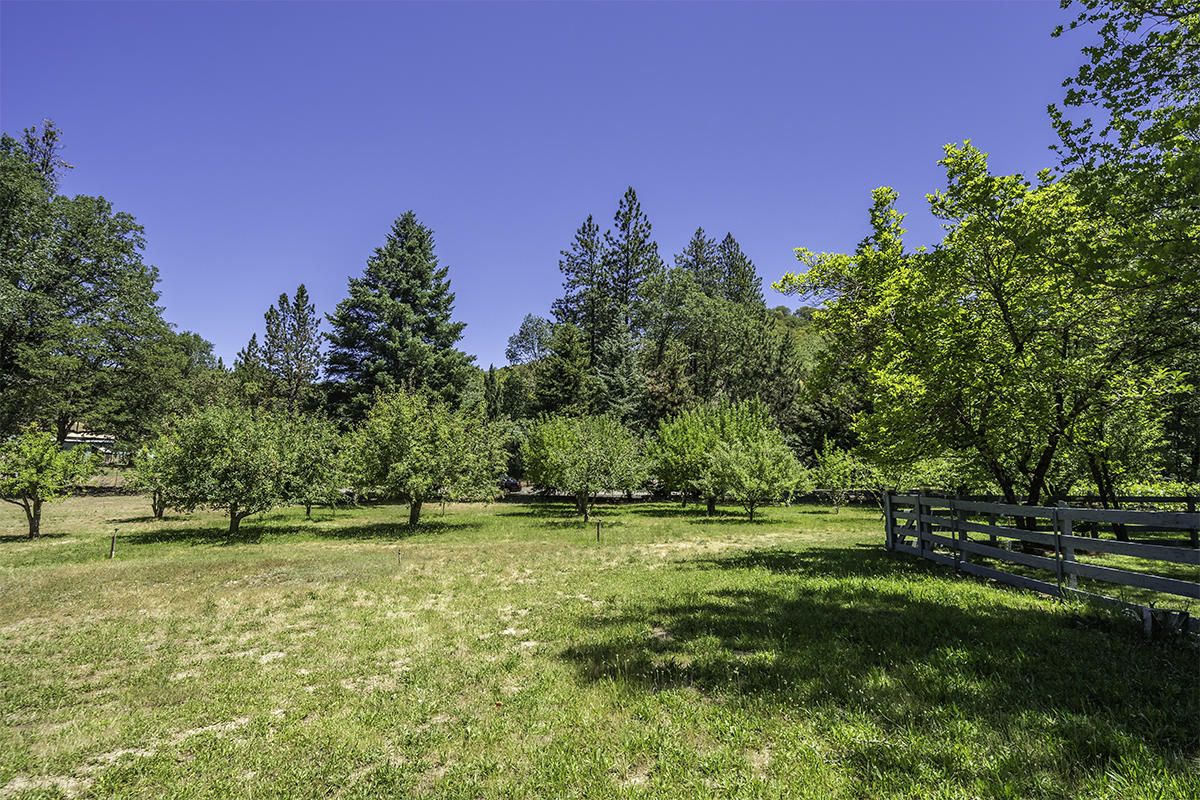 7785 Old Stage Road Central Point, OR 97502 - Photo 44 of 47 a view of outdoor space with trees all around