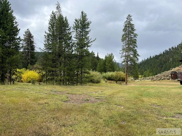 $164,000 | Nkn Panther Creek Road, Shoup, ID 83469