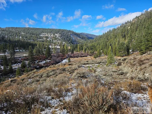 $164,000 | Nkn Panther Creek Road, Shoup, ID 83469