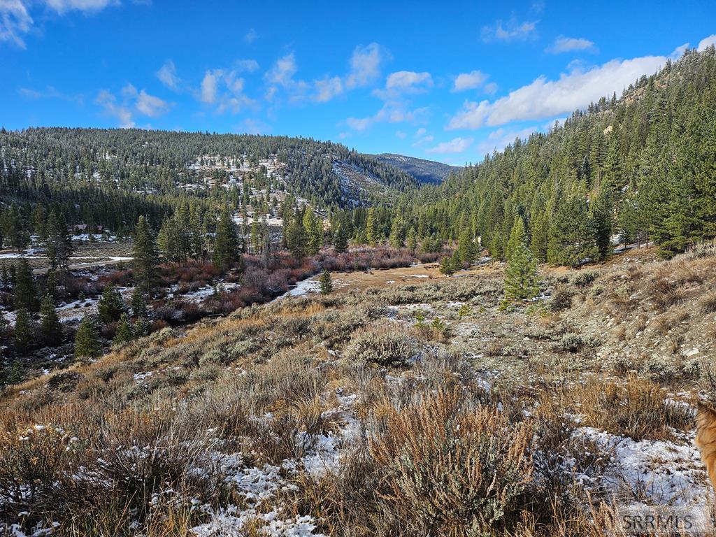 Nkn Panther Creek Road Shoup, ID 83469 - Photo 2 of 6