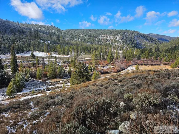 $164,000 | Nkn Panther Creek Road, Shoup, ID 83469