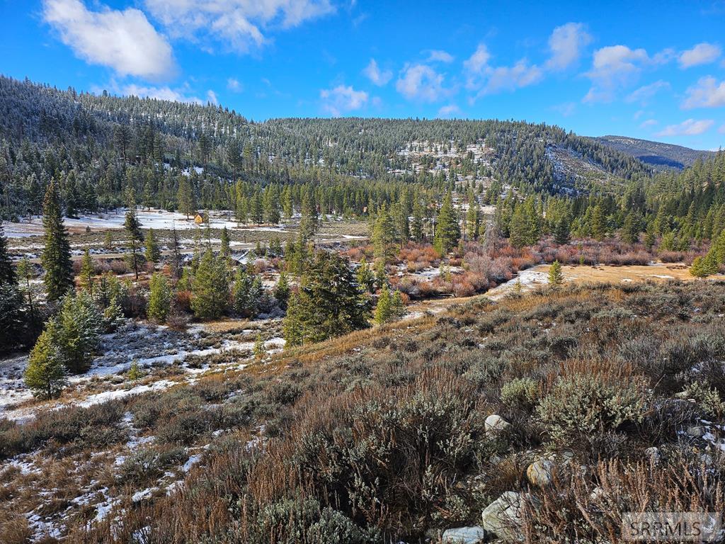 Nkn Panther Creek Road Shoup, ID 83469 - Photo 6 of 6