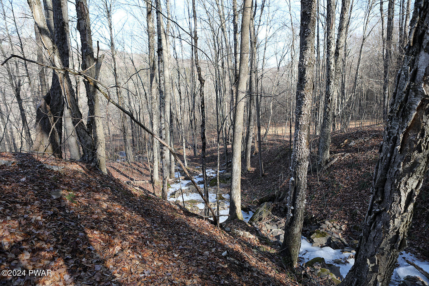 1106 Pine Mill Road Equinunk, PA 18417 - Photo 6 of 21 Creek on property